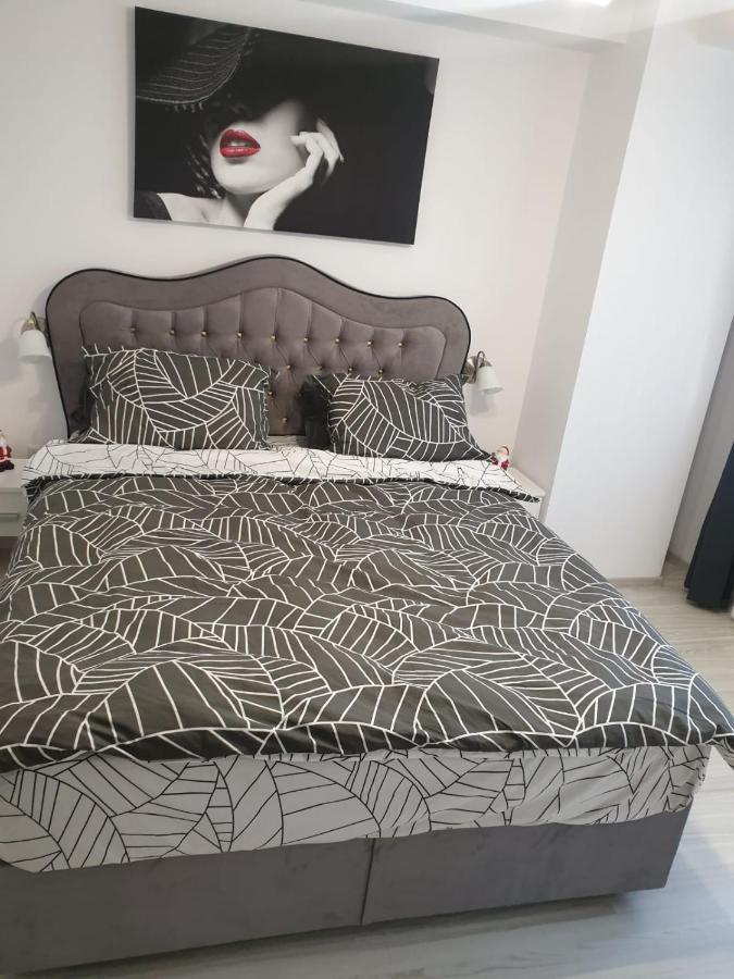 Topaz Central Apartment Bacău Eksteriør billede